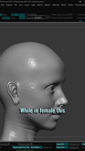 Female sculpting tips in Zbrush or Blender. Keep this in mind while sculpting. #zbrush #zbrushsculpt