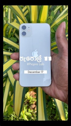 අහවල් පලතුරු ෆෝන් එකකින් macro ෂොට් එකක් ගමුද 😅 #srilanka #short