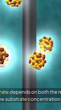 SN1 and SN2 mechanism in short. #science #chemistrypage #reels