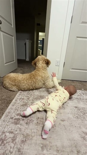 @tessachoate.health: I thought he was dead for sure ☠️😂😂 Humbled but he’s not hurt #dog #doglover