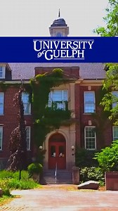 Welcome to our virtual tour of the University of Guelph. ⭐ In this...