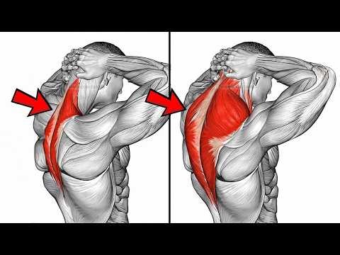 6 Secret Moves To Build Massive Traps Fast