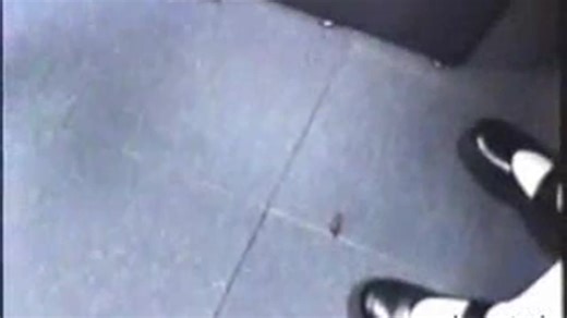 Candid Cockroach Crush