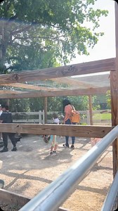 Be apart of our Mommy & Me Class🐓 Animal Explorers Tuesdays and Thursdays at 10AM 🐔 | RedStone Ranch