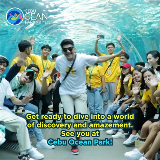Prepare to be mesmerized at Cebu Ocean Park! 🌊 Embark on an extraordinary journey beneath the ocean's surface, where thrilling encounters and exhilarating escapades await. Take a deep breath as you dive into a realm of fascination and astonishment. It's a day of adventure and marvel that your entire family will treasure! 🐠🦑 Get set to create memories that will endure for a lifetime. We can't wait to welcome you to Cebu Ocean Park! Secure your tickets now! Click here: bit.ly/copbooktickets. #c