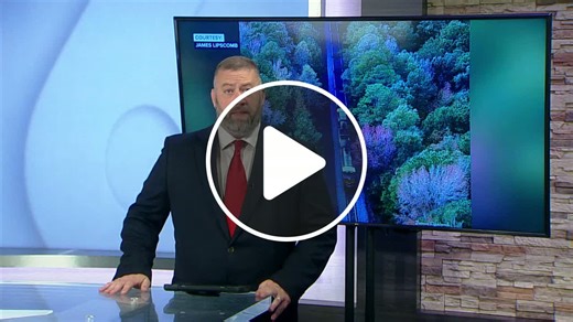 CSX train derails, sending 15 coal cars, 2 locomotives off tracks into wetlands in New Kent - NewsBreak