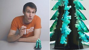 54K views · 534 reactions | Explore crystal growth and capillary action by creating an amazing crystal tree overnight!  | KiwiCo | Facebook