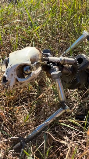 Found this “cat” creeping around in the ditch… #Halloween #artist #Upcycle #homedecor #odd #creepy #mechanical #skull | Scotty's Kustomz Art & Metal