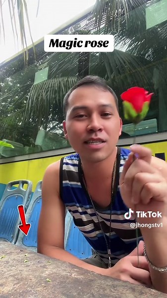 Discover the Magic of Enchanted Roses