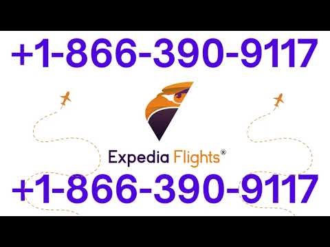 Getting Live Help: The Complete List of Expedia Customer Service Contact Numbers