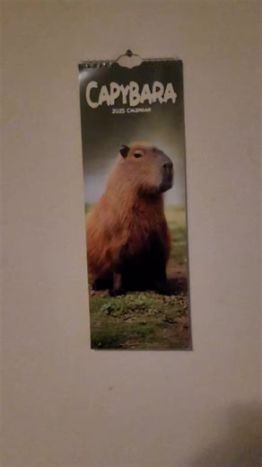 Celebrate Capybara New Year 2026 Together!