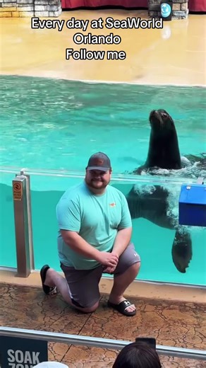 Slowpoke and Clyde: Fun at SeaWorld Orlando