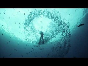 The Barclaycard Visa with Apple Rewards l Barclaycard US