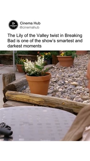 In Breaking Bad, the Lily of the Valley twist is the reveal that Walter White, not Gus, poisoned Brock Cantillo in season 4. Jesse initially believes Brock has been poisoned with the ricin from the cigarette he was holding for Walt, and, after the cigarette goes missing, he assumes Gus had it stolen and used it on the boy, which pushes Jesse firmly back onto Walt’s side and justifies helping Walt kill Gus. After Gus is dead, the audience sees a potted Lily of the Valley plant in Walt’s backyard,