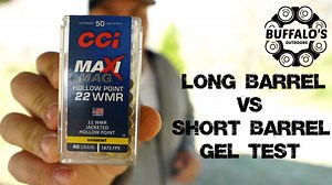 .22 MAGNUM RIFLE VS REVOLVER IN BALLISTIC GEL - The Reloaders Network