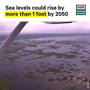 89K views · 62 reactions | NOAA released updated projections on...