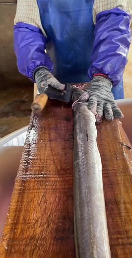 How to Fillet a Fresh Fish: Step-by-Step Guide