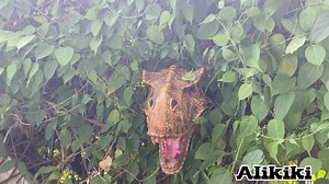 Watch Jurassic Dinosaur Head Wall hanging Large Wall Mounted Statue Bust on Amazon Live