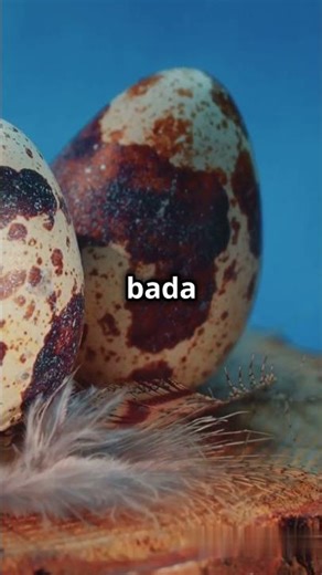 The Kiwi Bird's Giant Egg: A Marvel of Nature