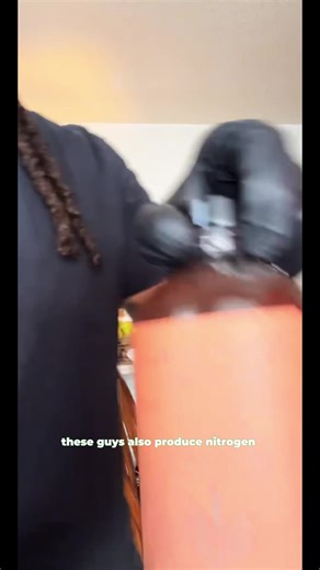 Plant Growth Stimulator - Phototropic Bacteria for Enhanced Plant Growth