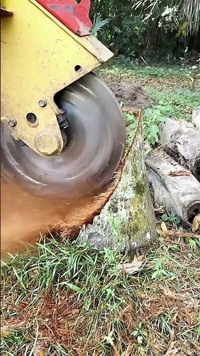 How Does a Stump Grinder Destroy a Tree Stump So Fast? 🌳⚙️