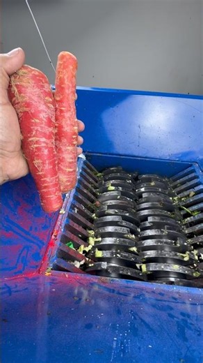 SUPER CRUNCHY CARROTS 🥕 SHREDDING BY MEGA BLUE SHREDDER