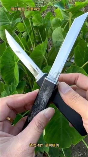 Black dragon and phoenix double blade Mandarin Duck Double Swords Dragon and Phoenix #knifeskills