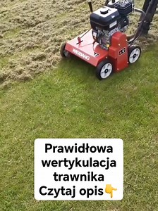 Wiosenna wertykulacja trawnika: Kluczowe porady