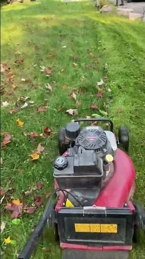 Toro 21” commercial mower mowing wet grass #lawncare #toro #toromower #mower #commercialmower