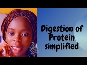 Digestion of protein simplified