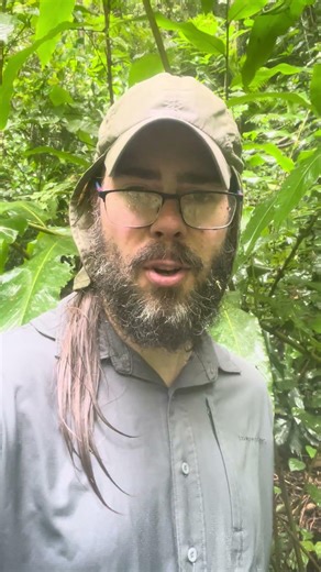 hi-tec boots fail poor quality