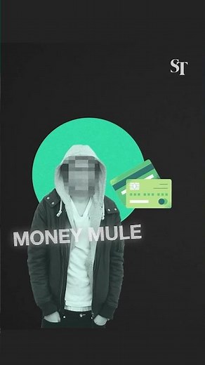 What is a money mule and how scammers use them