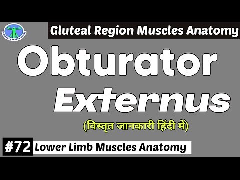 MASTERING the BASICS : Obturator Externus Muscle EXPLAINED with Origin, Insertion, and Action|72