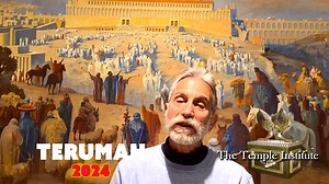 3.3K views · 117 reactions | THE TEMPLE INSTITUTE: MORE THAN A WEB...