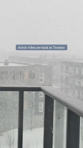 33K views · 4.4K reactions | Arctic winter is full on ❄️冀 #snow #winter #norway #tromso #arctic #visitnorway #travel #wintervibe | Tromso Norway | Facebook