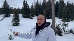 After a refreshing getaway in the breathtaking Italian Alps—recharging and finding inspiration in the epic landscapes—Alex is back and fully immersed in the upcoming orchestra project. And it’s going to be spectacular! The two performances with the Orchestra Sinfonica di Milano and choir are selling fast! Don’t miss out—secure your tickets now before they’re gone: 🎟️ https://sinfonicadimilano.vivaticket.it/it/event/rhapsody-of-fire/243723 | Rhapsody Of Fire