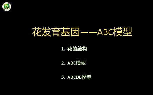 植物生理学-ABC模型
