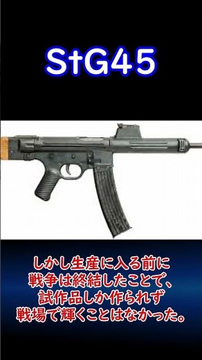 【実銃解説】 ドイツに残り続ける魂 StG45 30秒解説1