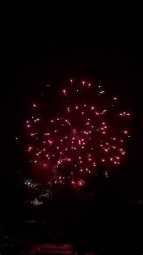 Zombie Shells 5” #fireworks #pyrotechnica #pyro #puertorico