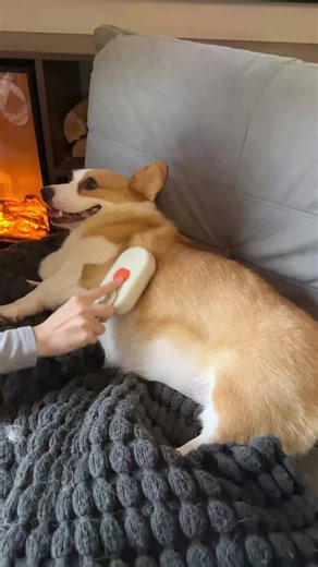 Essential Pet Spray Comb for Grooming