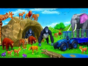 Funny Zoo & Farm Animals Magical Diorama Fun!