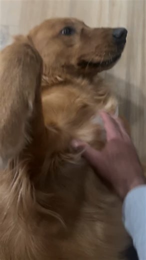 P & S Auto Care on Instagram