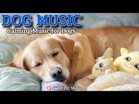 20 Hours of Calming Dog Music🦮💖Music to Help Your Dog Sleep🎵🦮Dog Anxiety & Restful Naps, Dog TV
