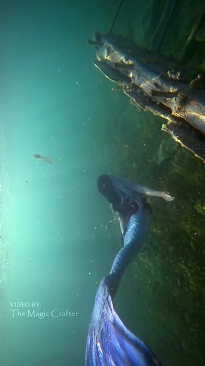 Exploring a Shipwreck in Michigan's Lake as a Mermaid