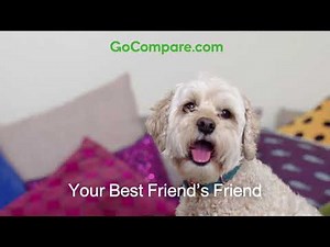 GoCompare Best Friend 20