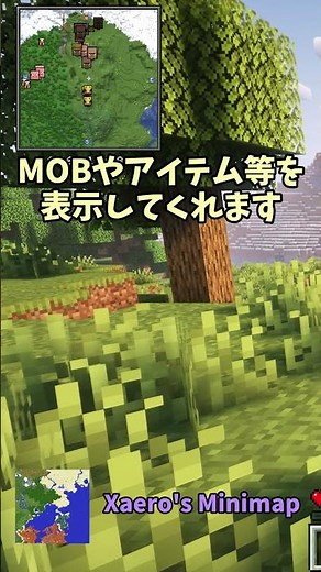 マイクラMOD解説【Xaero's Minimap】
