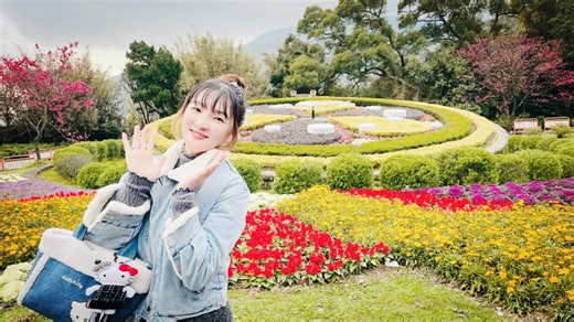 北投陽明山雙花季限時綻放至3/15 台版富良野與粉紅櫻花海打造最強春日一日遊