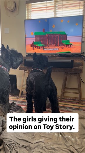 The girls loved watching Toy Story. | Keith Allen West