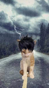 Milkaholic 🥀🥛 All of these kitties are rescues and are available for adoption at our cat lounge in Austin, Tx 🐾 Come meet them in person! Book your visit through the link in bio 🔗 #catmeme #meme #memes #milkaholic #cats #catlovers #funny #sillycats #catsofinstagram #atx #catcafe | Purrfecto Cat Lounge