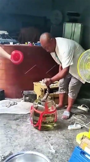 How to Safely Catch a Snake and Put It in a Jar